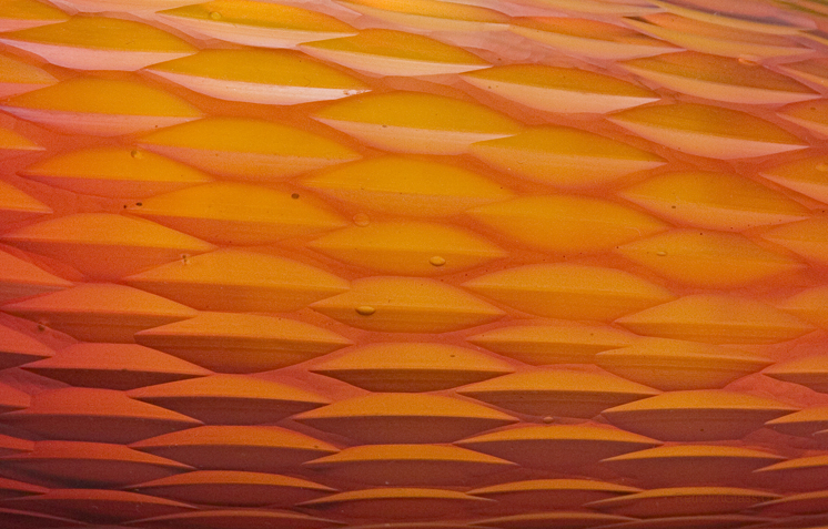 Vintage Carved Art Glass Bottle Vase - Image 3